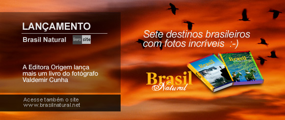 banner banner